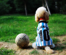 高端网站建设服务 —— 定制化设计 + 前沿技术，打造企业 “数字化名片”